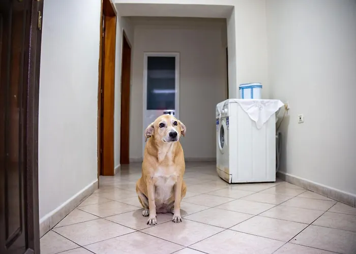 Apartamento Luna Durrës